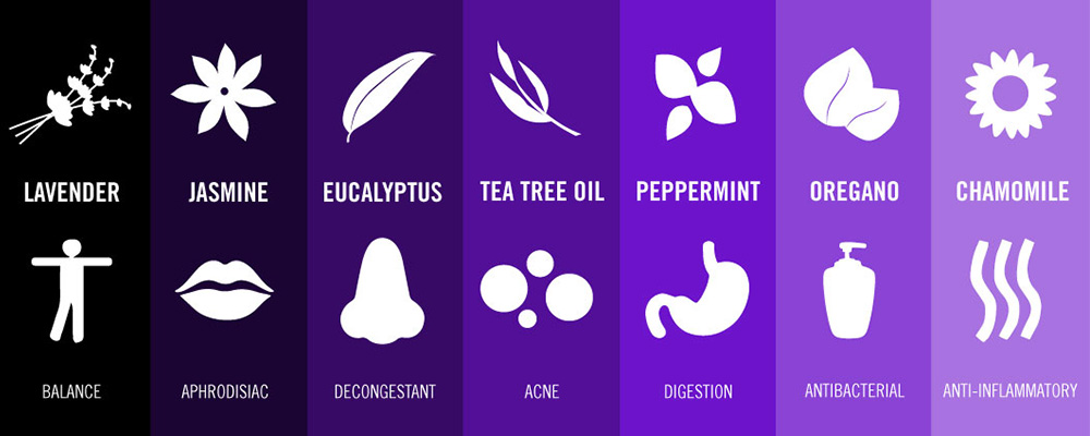 How To Use Essential Oils Guide And Their Healing Properties