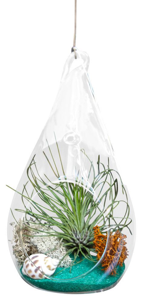 Contemporary Interior Design Trends 2017 - Terrariums