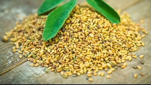 Hair tips - Fenugreek Hair tips - Fenugreek