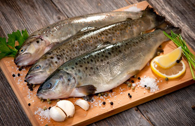 How To Lose Belly Fat Fast- Fish How To Lose Belly Fat Fast- Fish