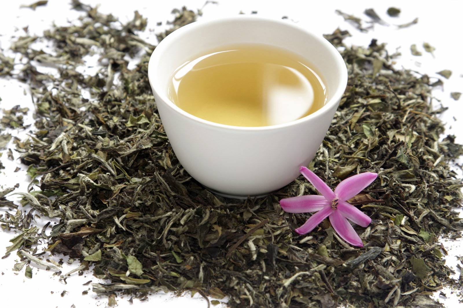 How To Loss Belly Fat Fast- White Tea